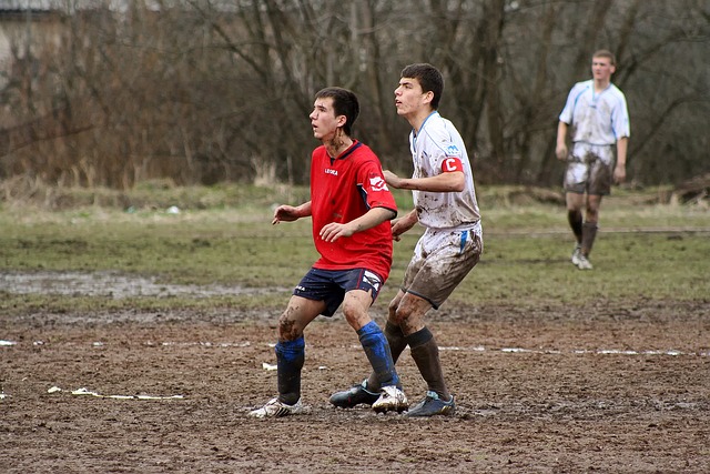 在整个杯赛 在整个杯赛
