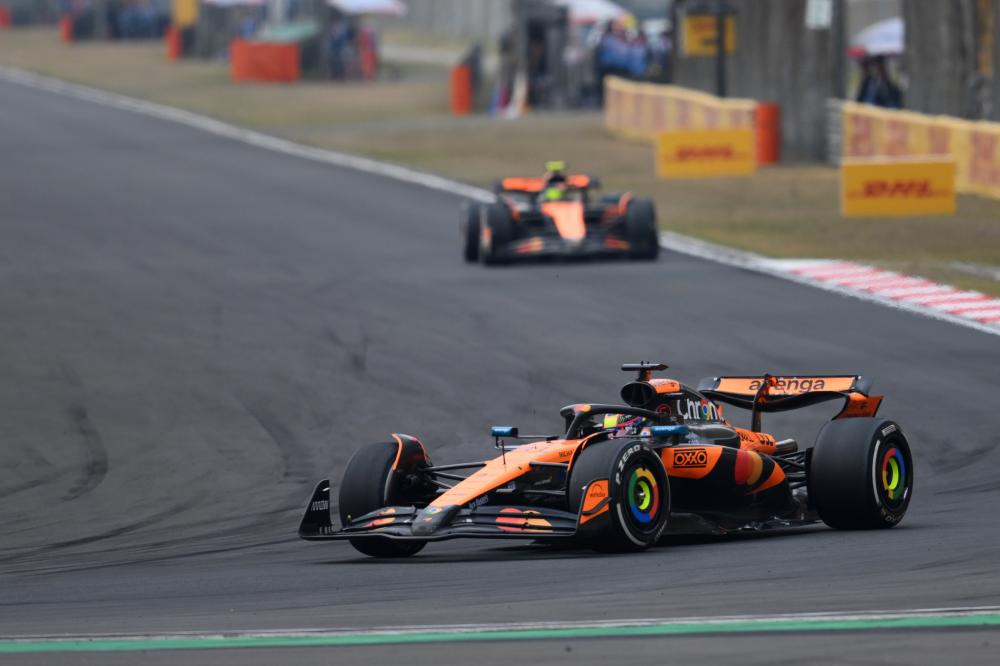 部发展的基 部发展的基